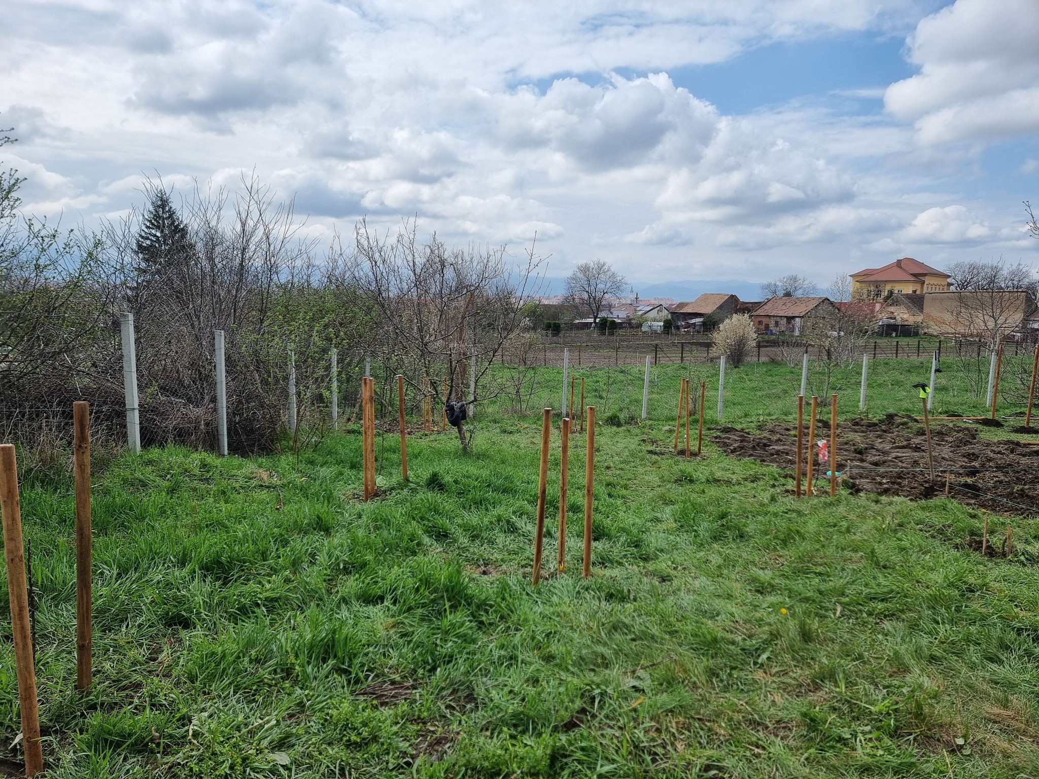 Șura Culturală Gușterița 8